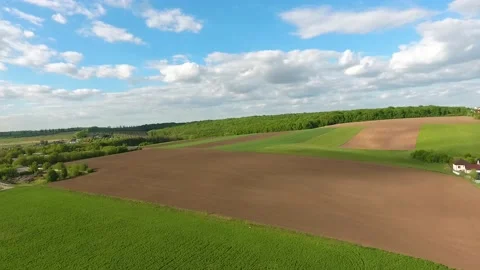 Aerial view of  field . Background   forest and blu sky Stock Footage 147324983