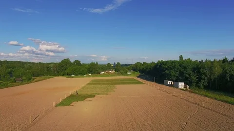 Aerial view of field of blackbrickers Stock Footage 110753092