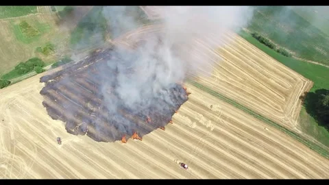 Aerial view of a field fire Video stock 313798044