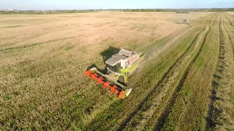 Aerial view of Field Stock Footage 54685372
