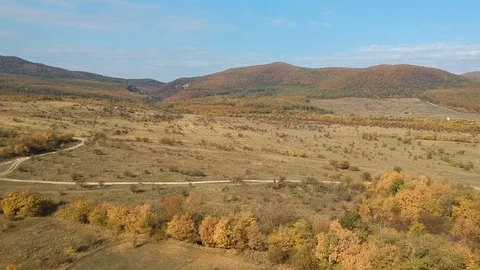 Aerial view of a field Stock Footage 99007417