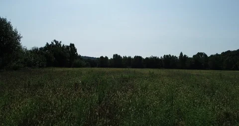 Aerial view of a field Stock Footage 101099834