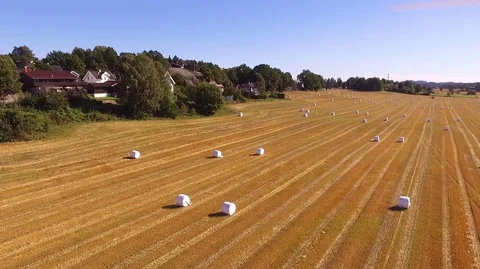 Aerial view of field Stock-Footage 114515364