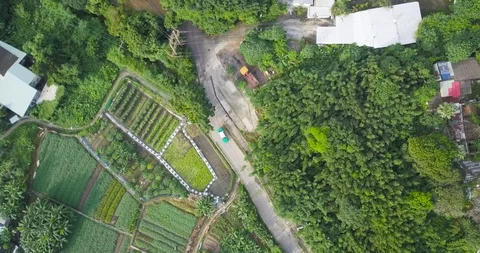 Aerial view of a field Stock Footage 124679269