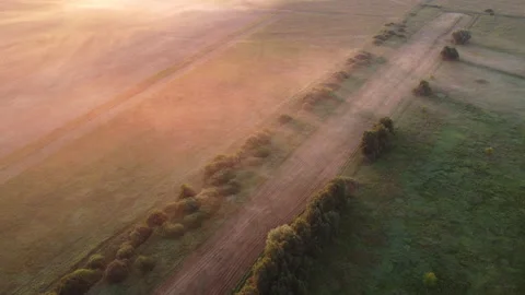 Aerial view of the field Stock Footage 170703675