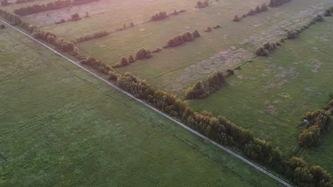 Aerial view of the field Stock Footage 170710372