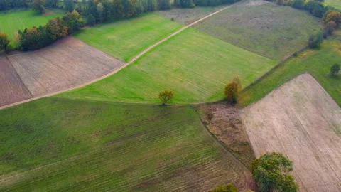 Aerial view of field Stock Footage 220039177