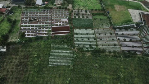 Aerial view of field Stock Footage 291720484