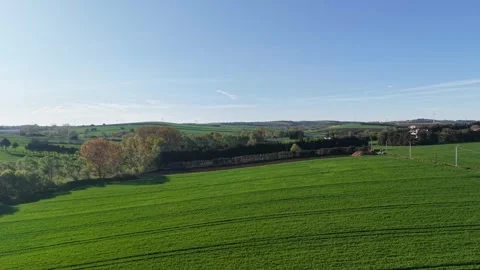 Aerial view of the field Video stock 308183343