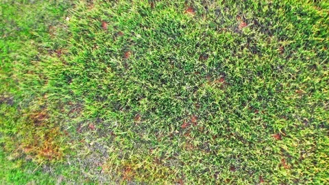 Aerial view of a field of grass with lifting and rotation upward Stockbeeldmateriaal 97326778