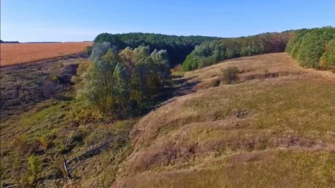 Aerial view of a field with ravines Vídeos de archivo 73306530