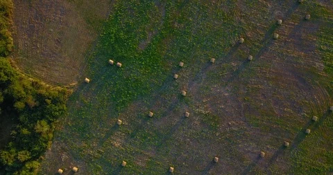 AERIAL VIEW OF FIELD WITH ROLLING STRAW Stock Footage 95094030