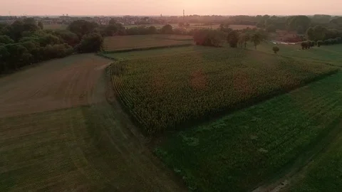 Aerial view of a field at the sunset 動画素材 77761748