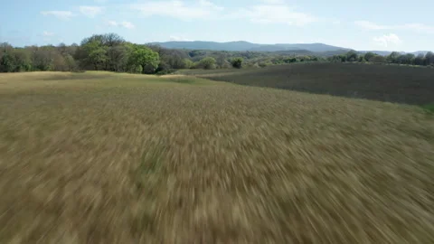 Aerial View of Field with Trees – Drone Ascend Revealing Vast Landscape Stock Footage 305157787