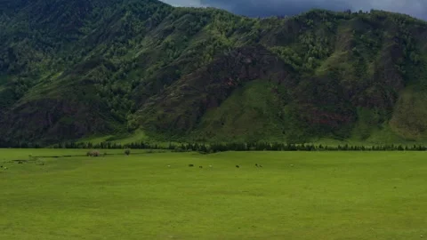 Aerial view of the field under the mountain Stock Footage 317767208