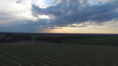 Aerial view of the field with a wheat stack.  Kazakhstan, in the summer. Stock Footage 68512325