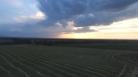 Aerial view of the field with a wheat stack. Kazakhstan, in the summer. Stock Footage 68513111