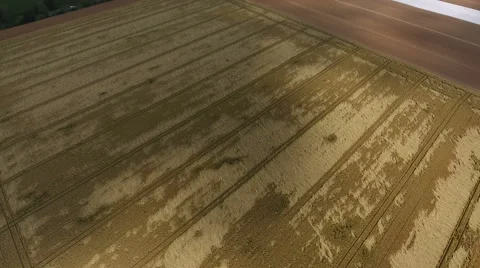 Aerial view of fields, agriculture Видео 65137944
