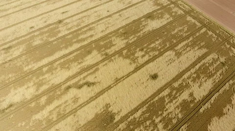 Aerial view of fields, agriculture 库存影片 65138489
