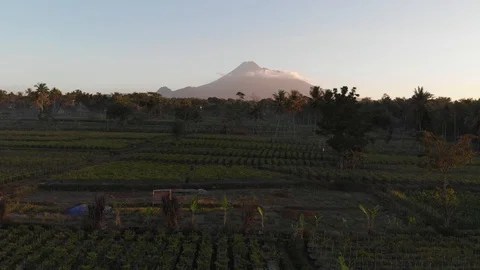 Aerial view of fields and beautiful mountain while sunrise Stock Footage 107702099