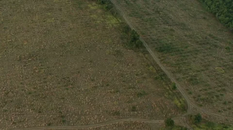 Aerial view of fields and forest Stock Footage 40409548
