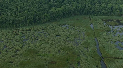 Aerial view of fields and forest Stock Footage 40411325