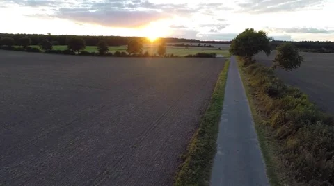 Aerial view of fields and forest at sunset Stock Footage 41380390