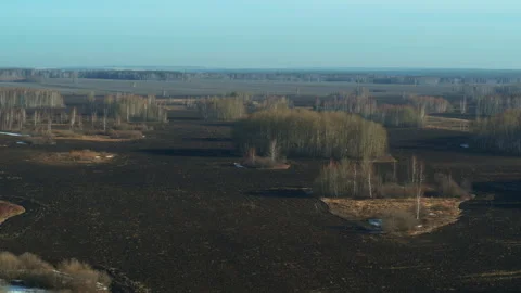 Aerial view of fields and forests Stock Footage 252343159