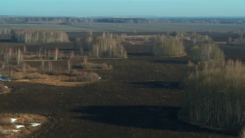 Aerial view of fields and forests Stock Footage 262297153