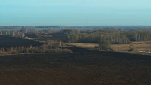Aerial view of fields and forests Video stock 262299549