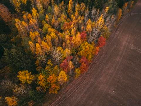 Aerial view fields and forests in autumn day. Stock Photos