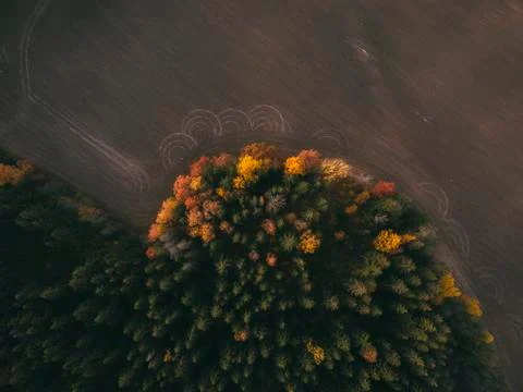 Aerial view fields and forests in autumn day. Stock Photos