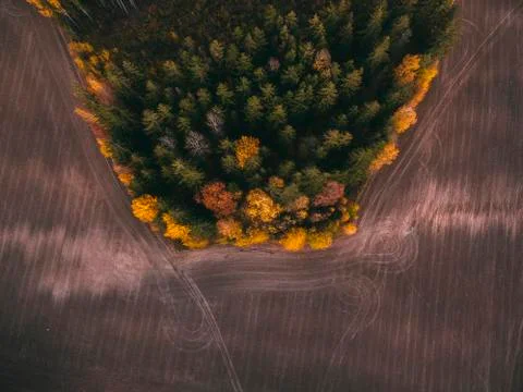 Aerial view fields and forests in autumn day. Stock Photos