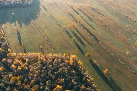 Aerial view fields and forests in autumn day. Stock Photos