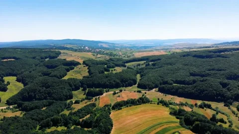Aerial view of fields and forrest in Bacau county. Summer 2021 Stock Footage 159597083