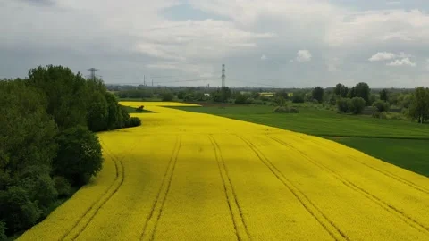 Aerial view of fields and high voltage lines Stock Footage 198087682