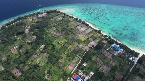 Aerial view of fields and houses by the ocean, Thoddoo, Maldives. Stock Footage 278097845