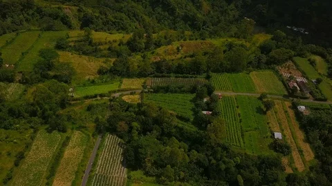 Aerial view of fields and lake under the volcano Batur at sunrise drone footage Stock Footage 88961216