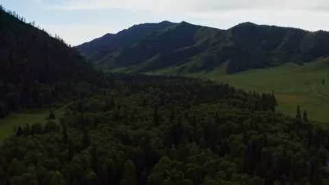 Aerial view of fields and mountains Stock Footage 317714344