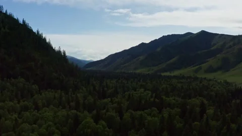Aerial view of fields and mountains Stock Footage 317767354