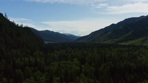 Aerial view of fields and mountains Stock Footage 317767388