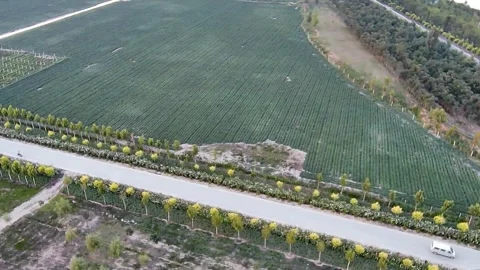 Aerial view of fields and a road. Stock Footage 336335081