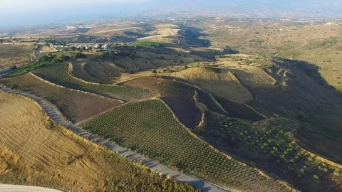 Aerial view of fields and vineyards in rural area Stock Footage 88006248