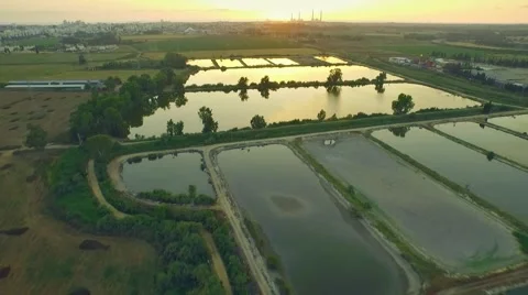 Aerial view of fields and water reservoirs Stock Footage 54233194