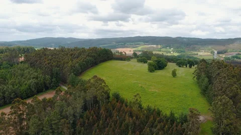 Aerial view of fields and woods in Asturia in windy day. 스톡 동영상 195460069