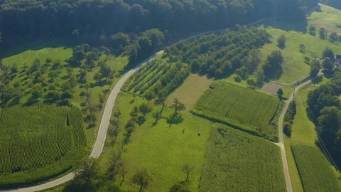 Aerial view of fields around the villages Obereggenen and Niedereggenen Stock Footage 116640802