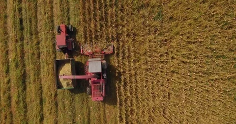 Aerial view of fields in autumn with last activities corn harvest Stock Footage 97193517