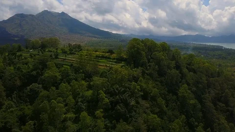 Aerial view of fields on the background of volcano Batur at sunset drone footage Video stock 88966727