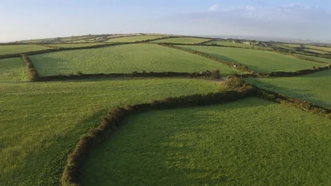 Aerial view of Fields in Cornwall Stock Footage 124309689