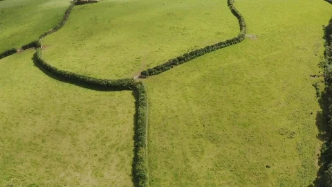 Aerial view of Fields in Corwall Stock-Footage 124315165